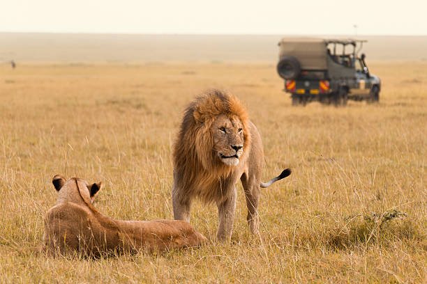 5 Days Tanzania Safari