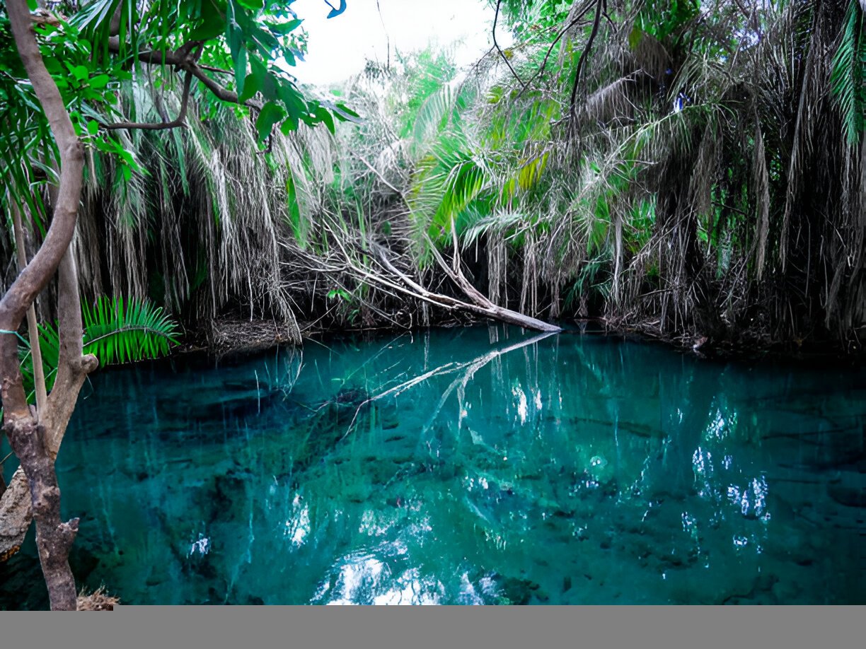 2 Days Tanzania Safari